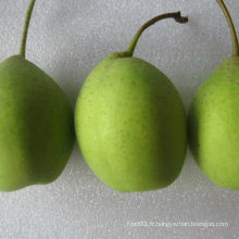 Bonne qualité de poire verte verte verte